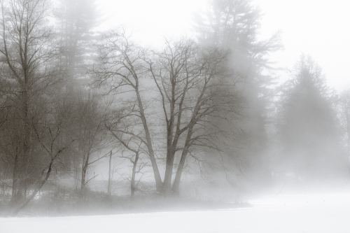 Rising fog
