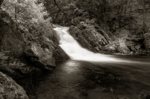 Birdseye brook