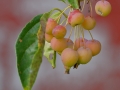 dscf90613