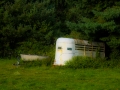dscf90705