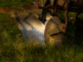 dscf90716