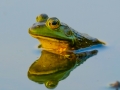 dscf91069