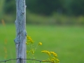 dscf912712