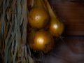 dscf930523