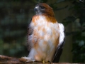 dscf0659333
