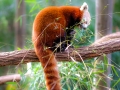dscf2986328