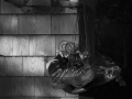 DSCF6773