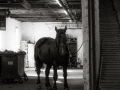 dscf2709