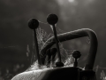 DSCF3678