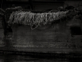 DSCF6471