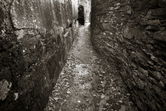 opus40