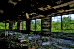 platts-mills