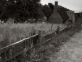 DSCF8389