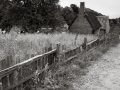 DSCF8389_1