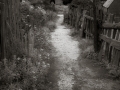 DSCF8417