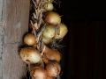 dscf8558