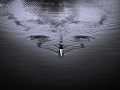 DSCF9678942