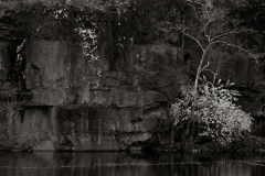 saugerties