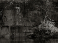 dscf116959