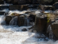 dscf117765