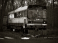 p1260119_bw