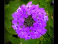 DSCF6686