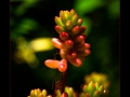 DSCF675018_fr