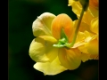 DSCF6782FR