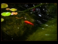 DSCF678513_fr