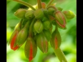 DSCF686815_fr
