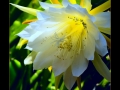 DSCF6904_fr