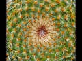 DSCF8949_fr