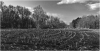 DSC_7976.jpg