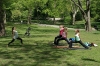 Spring_in_Centrl_Park_copy.jpg