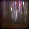 IMG_0420-Edit-Edit.jpg