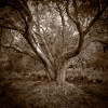 Land-03.jpg