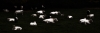 Land-05.jpg