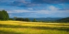 Land-09.jpg