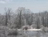 Filename=March_Ice_Storm.jpg
Filesize=229KB
Dimensions=1000x768
Date added=Mar 22, 2011 March_Ice_Storm.jpg