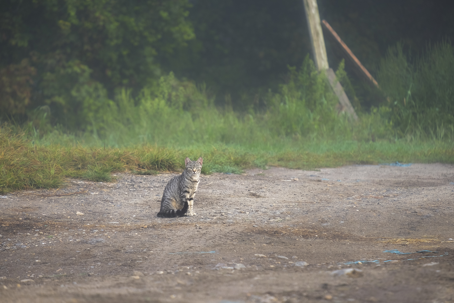 Hautboy Hill Farm. August 26,  2024