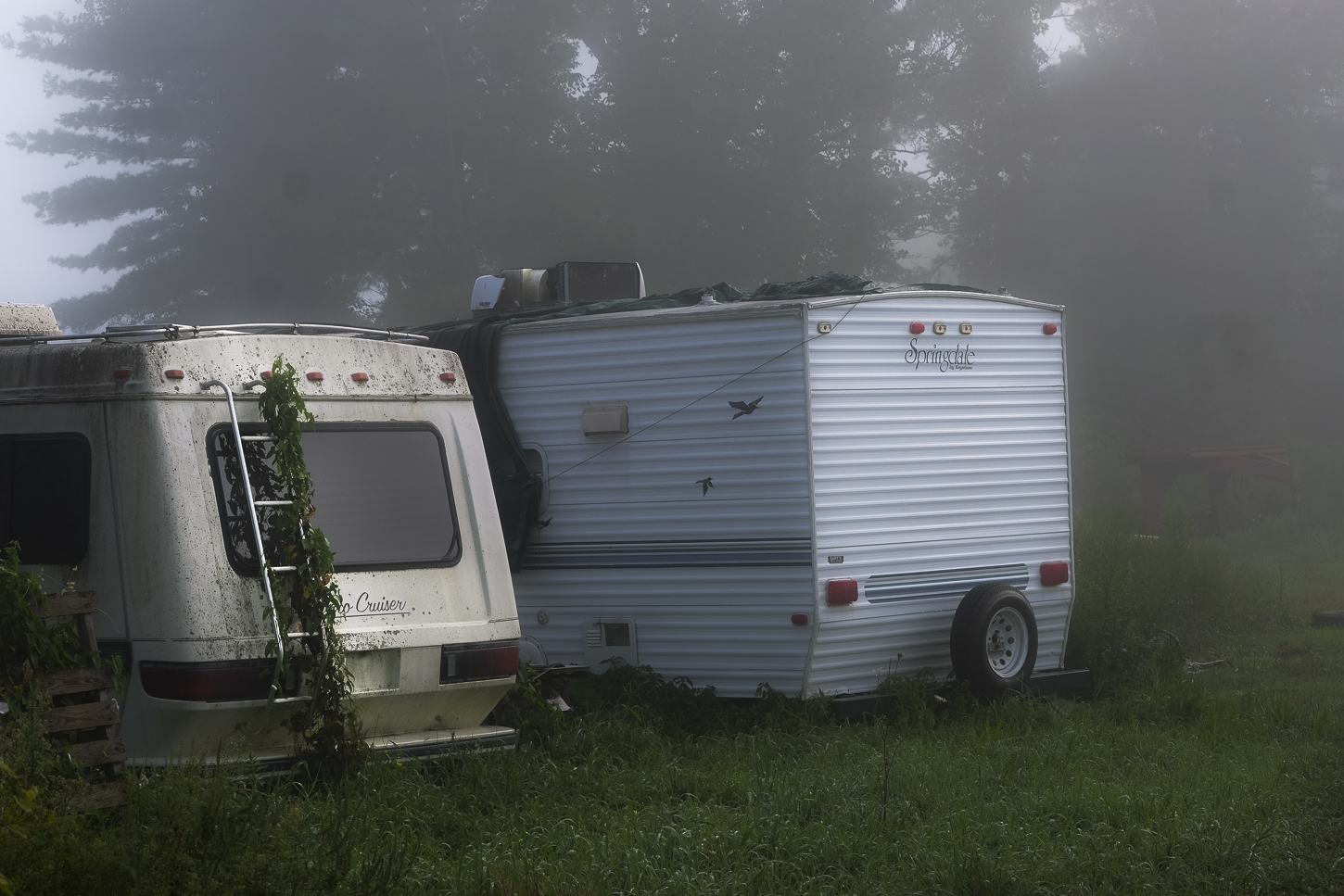 Hautboy Hill Farm. August 26,  2024