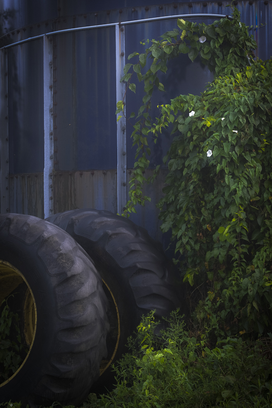 Hautboy Hill Farm. August 26,  2024