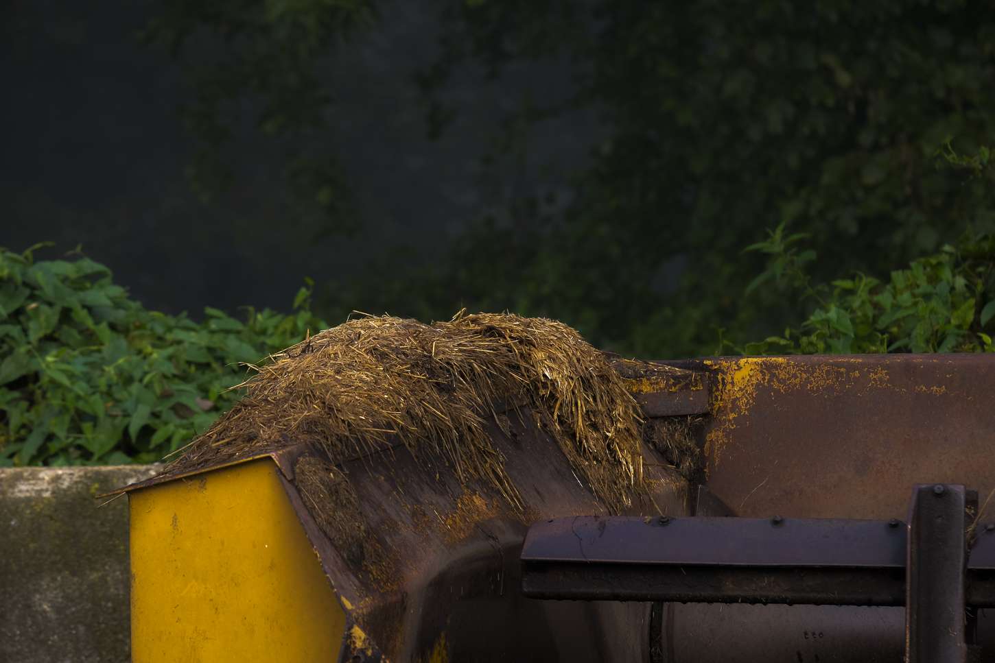 Hautboy Hill Farm. August 26,  2024