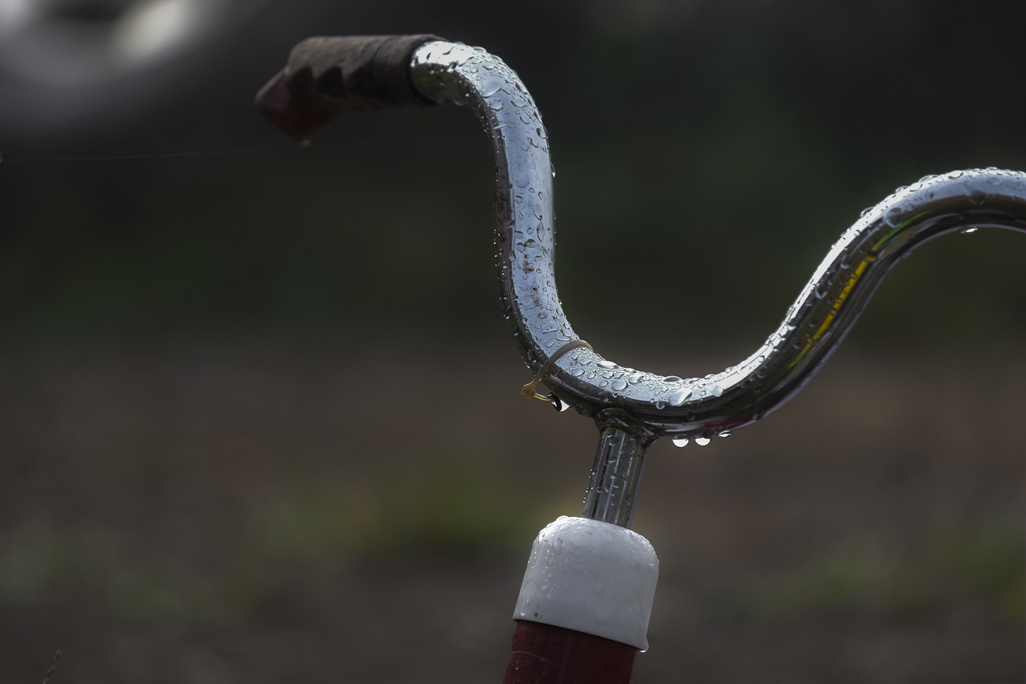 Hautboy Hill Farm. August 26,  2024