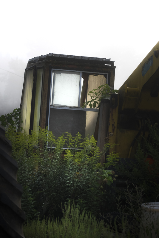 Hautboy Hill Farm. August 26,  2024