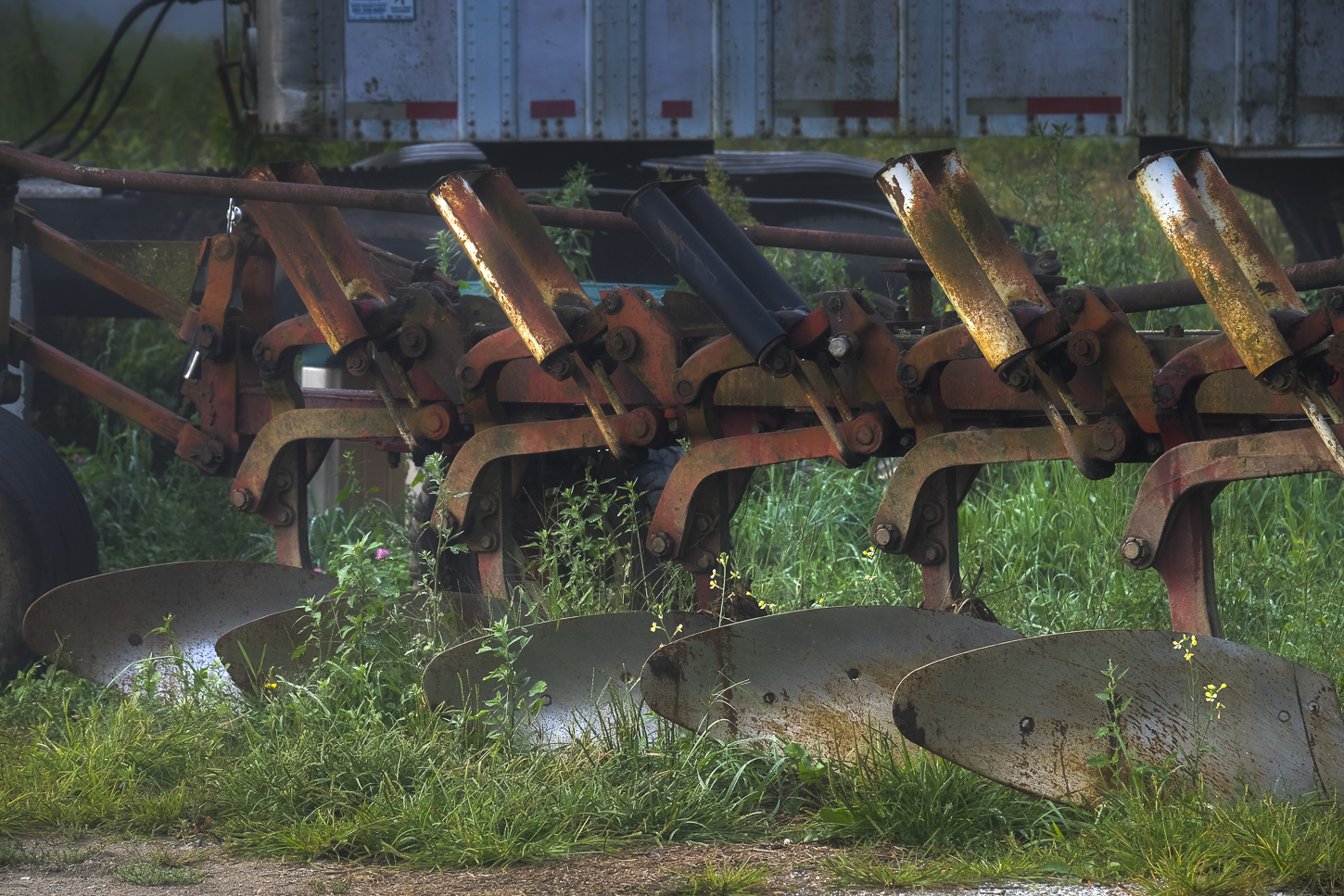 Hautboy Hill Farm. August 26,  2024