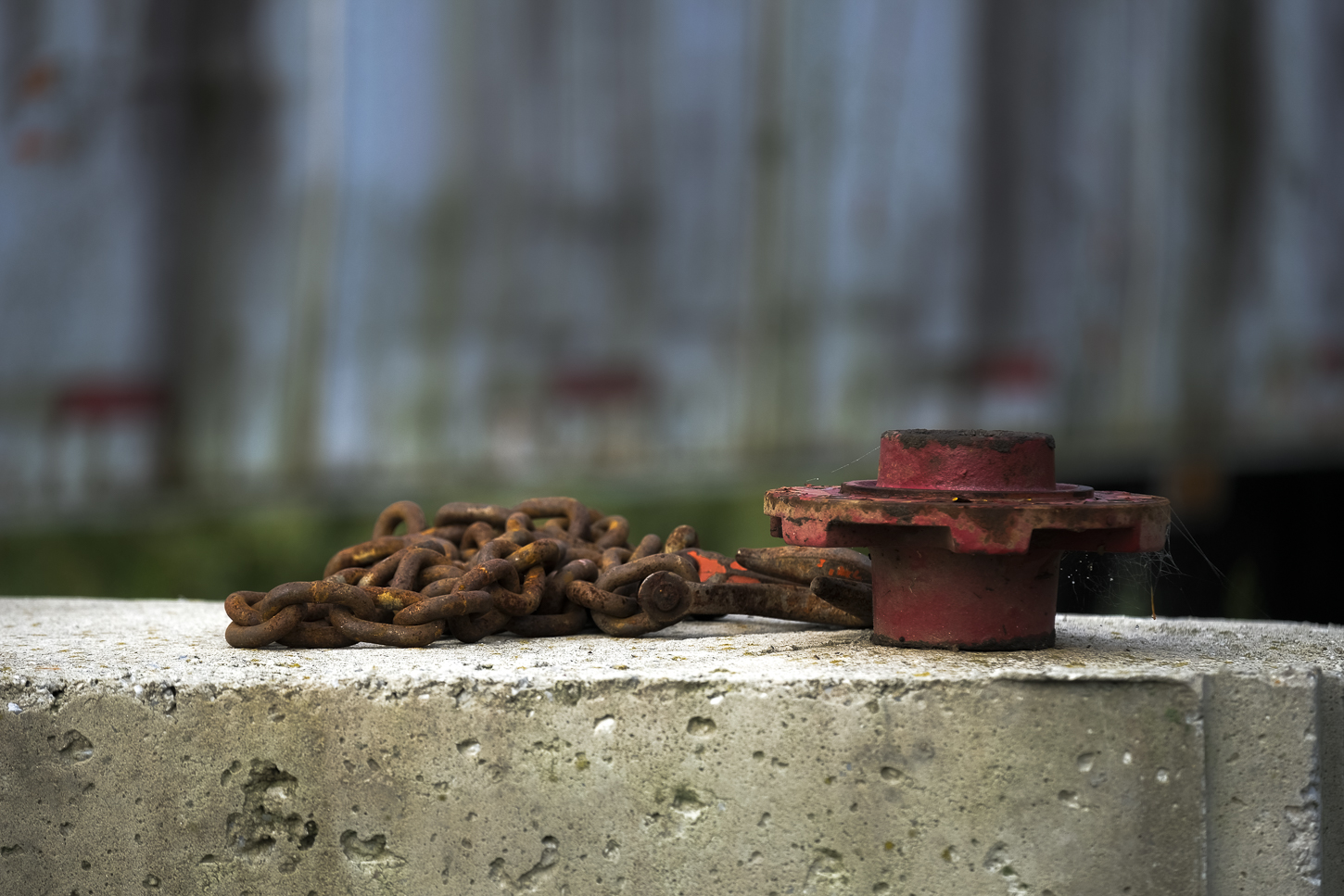 Hautboy Hill Farm. August 26,  2024