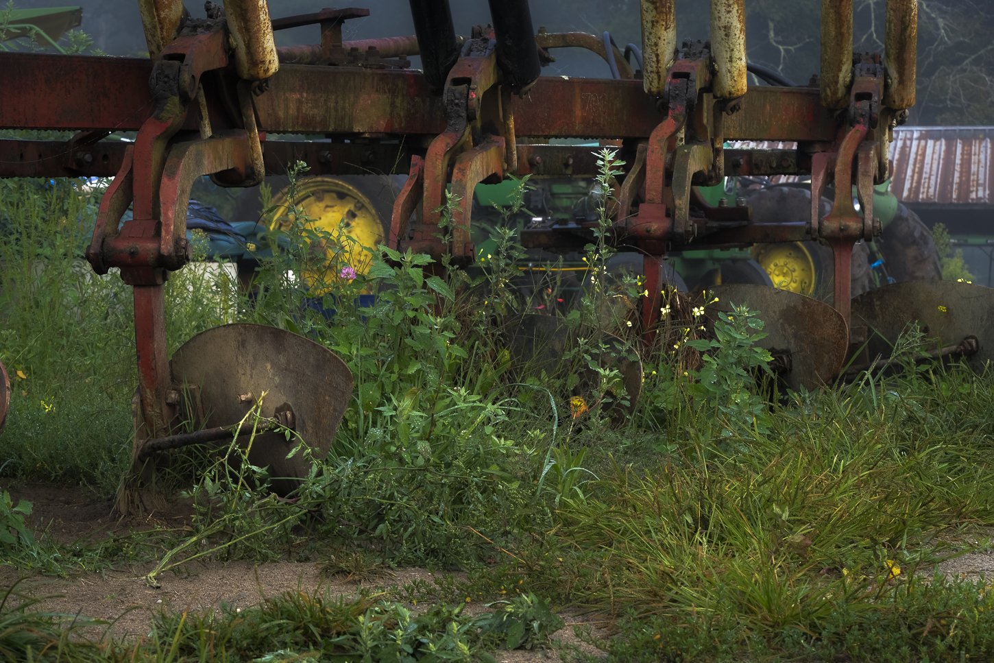 Hautboy Hill Farm. August 26,  2024