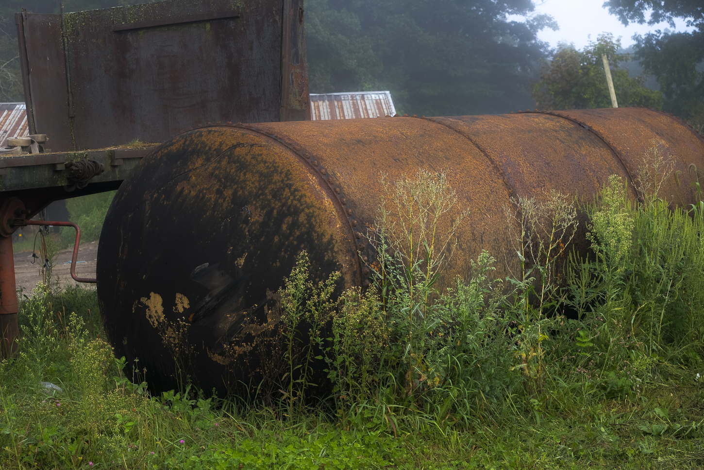 Hautboy Hill Farm. August 26,  2024