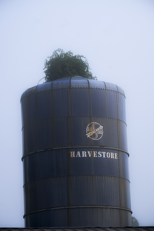 Hautboy Hill Farm. August 26,  2024